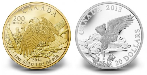 Canadian-2014-Bald-Eagle-Gold-and-Silver-Coins-