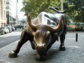 wall_street_bull