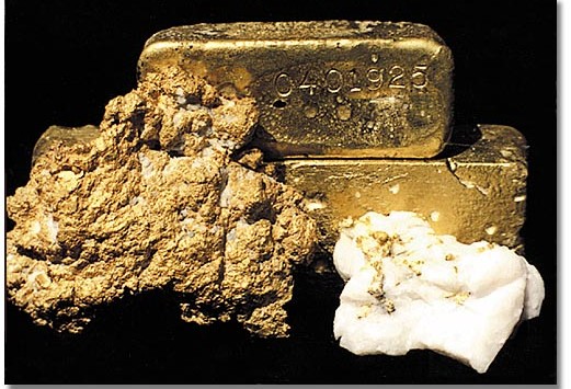 focus on gold 21