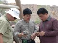 Chinese gold miners